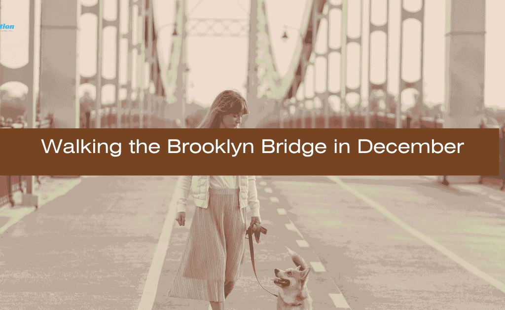Walking the Brooklyn Bridge in December gives a crisp and very cinematic view of Manhattan skyline.